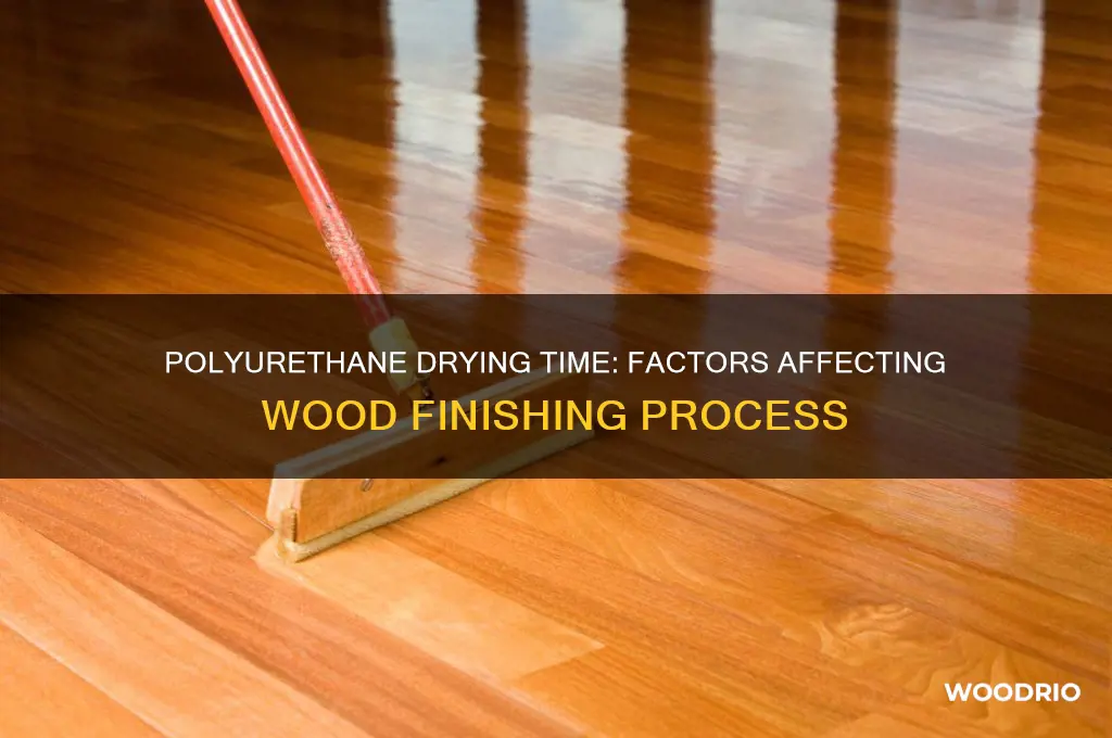 how long does polyurethane take to dry on wood