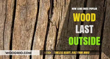 Poplar Wood Durability: How Long It Lasts Outdoors and Why