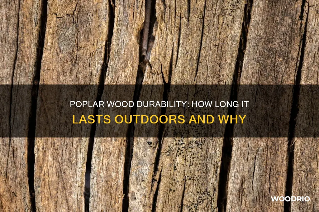 how long does poplar wood last outside