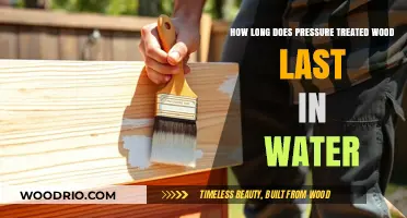 Pressure Treated Wood Durability: Lifespan in Water Explained