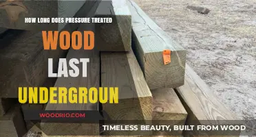 Underground Durability: Lifespan of Pressure Treated Wood Below Ground