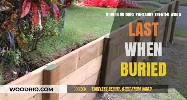 Buried Pressure Treated Wood Lifespan: Durability and Longevity Explained