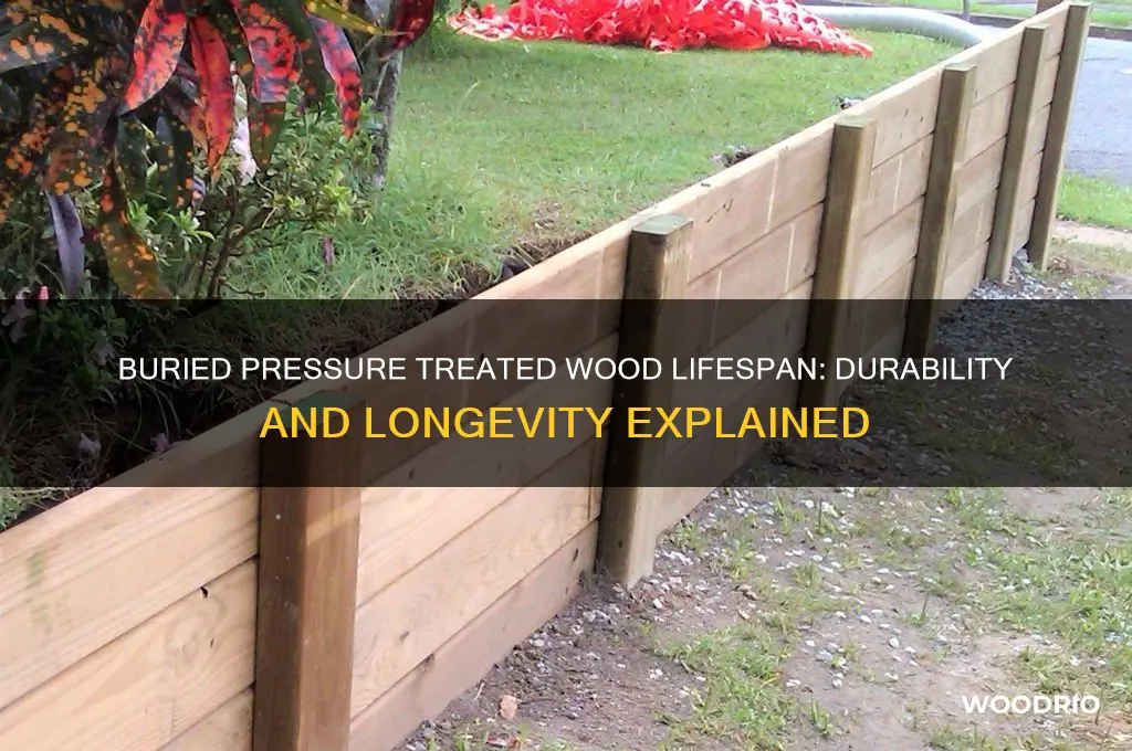 how long does pressure treated wood last when buried