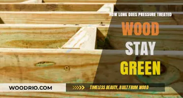 How Long Does Pressure Treated Wood Stay Green?