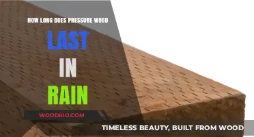 Pressure-Treated Wood Durability: How Long It Lasts in Rainy Conditions