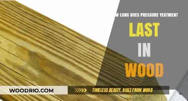 Pressure Treatment Durability: How Long Does Wood Protection Last?