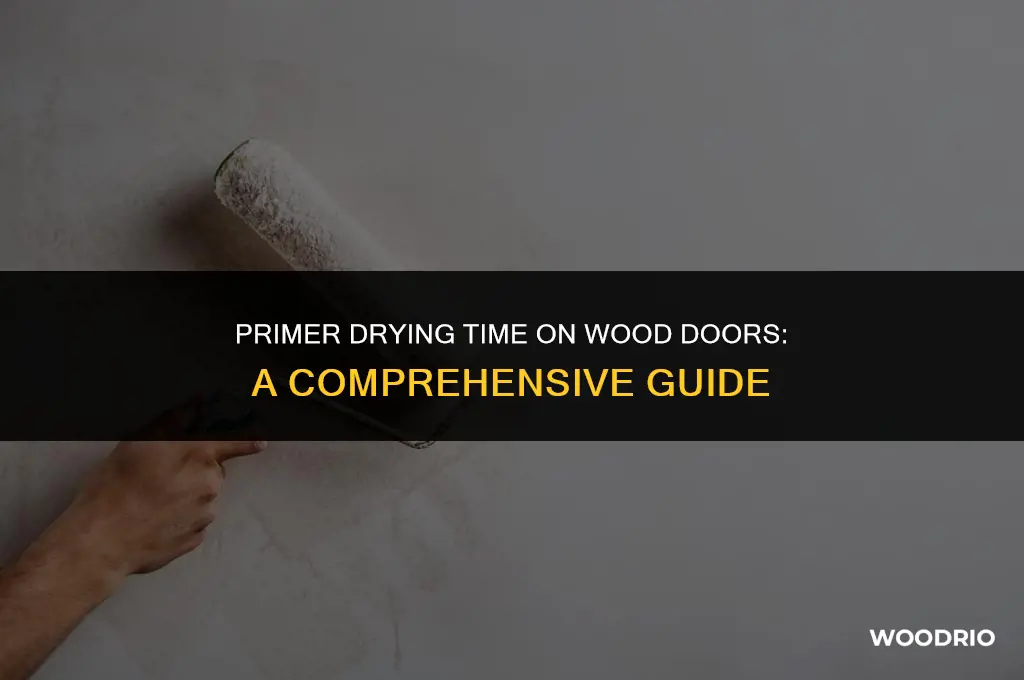 how long does primer take to dry on wood doors