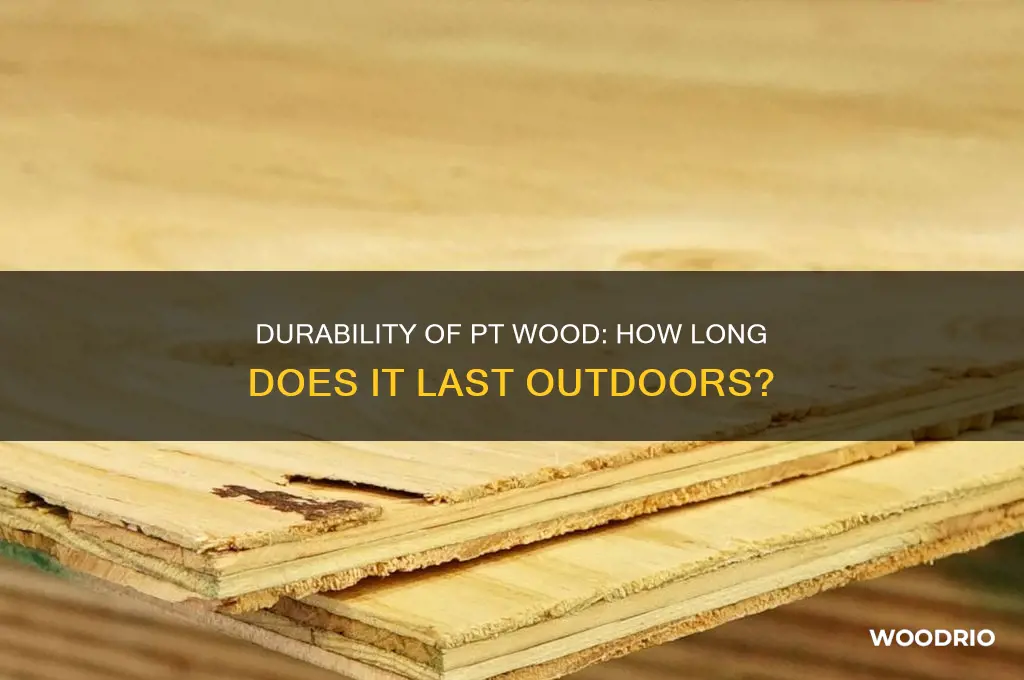 how long does pt wood last outside