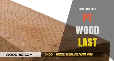 Durability of PT Wood: Lifespan, Maintenance, and Longevity Explained