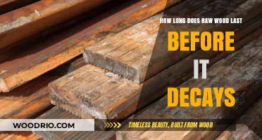 Raw Wood Lifespan: Understanding Decay Timeline and Preservation Tips