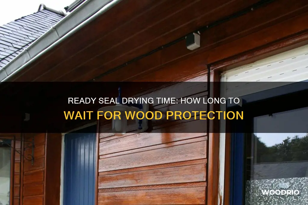 how long does ready seal take to dry on wood