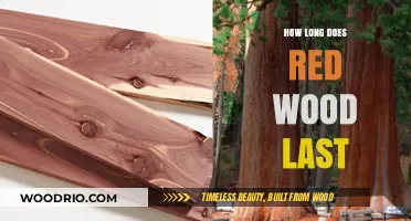Redwood Durability: Lifespan, Maintenance, and Longevity Explained