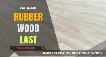 Durability of Rubber Wood: Lifespan, Care, and Longevity Explained