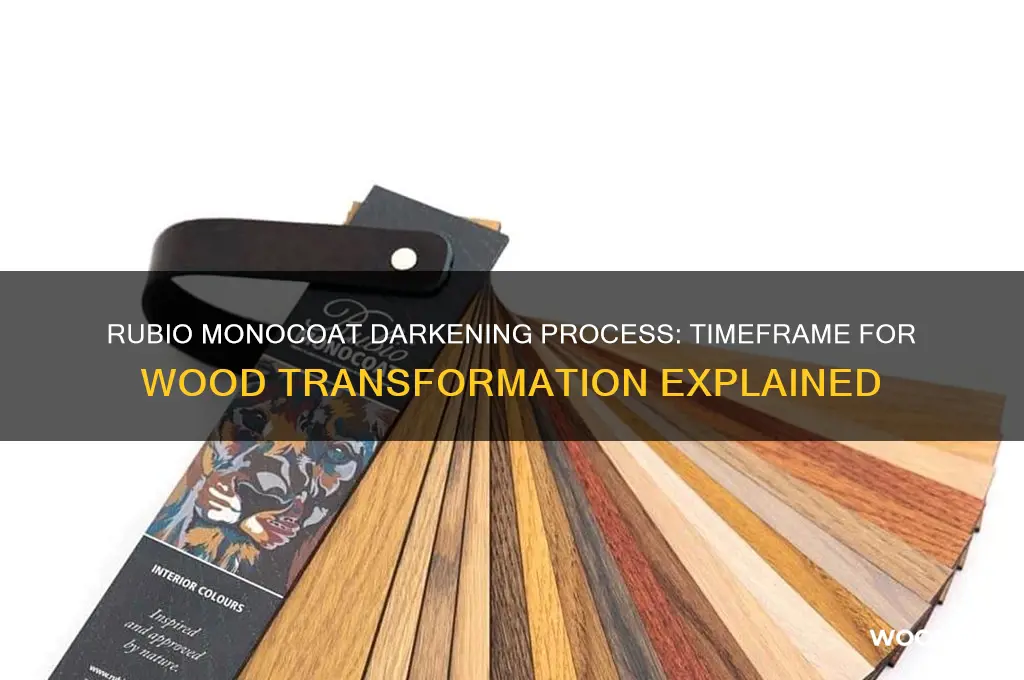 how long does rubio monocoat take to darken wood
