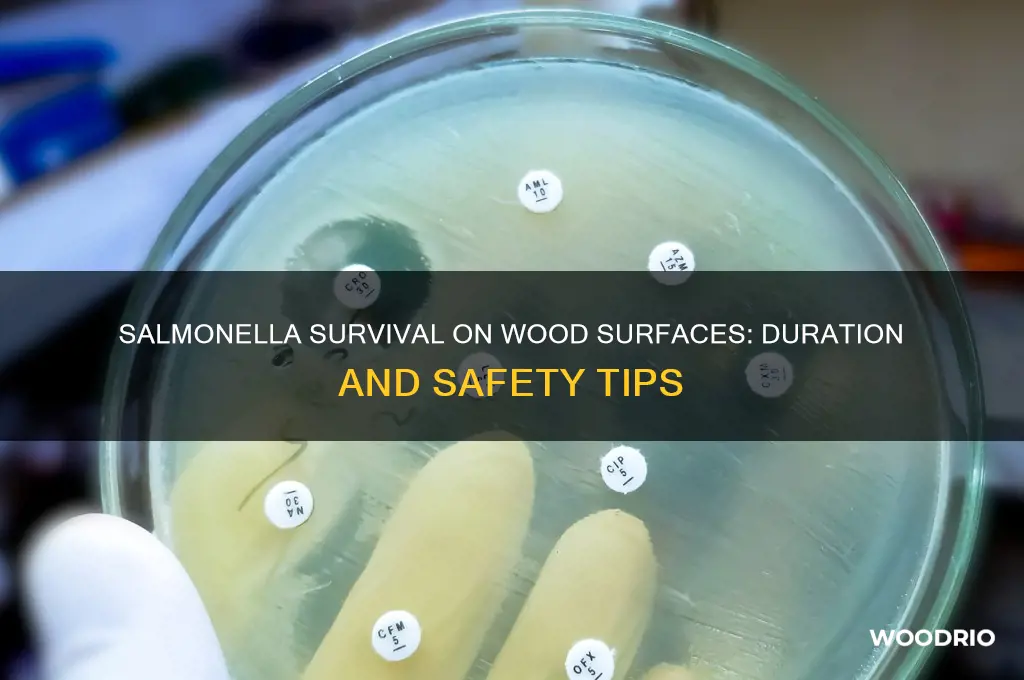 how long does salmonella live on wood