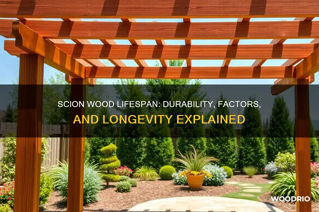 how long does scion wood last