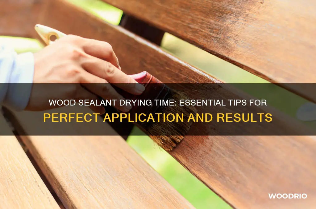 how long does sealant need to dry on wood