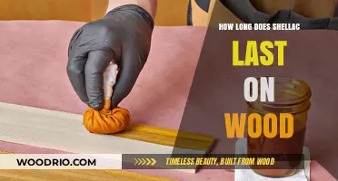 Shellac Durability on Wood: Longevity, Maintenance, and Preservation Tips