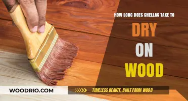 Shellac Drying Time on Wood: Factors Affecting Cure and Finish