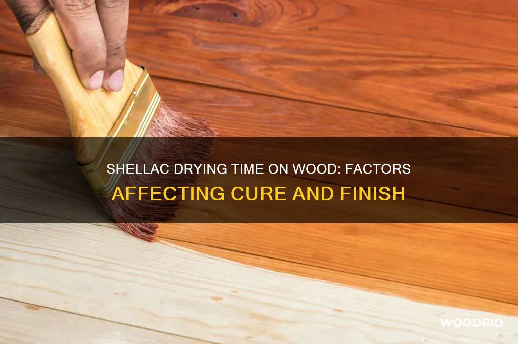 how long does shellac take to dry on wood