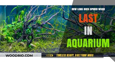Spider Wood Aquarium Lifespan: Durability and Maintenance Tips Revealed