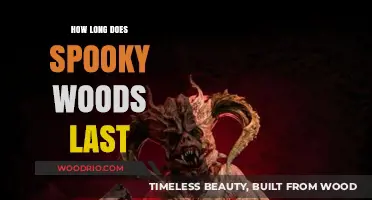 How Long Does the Spooky Woods Experience Typically Last?