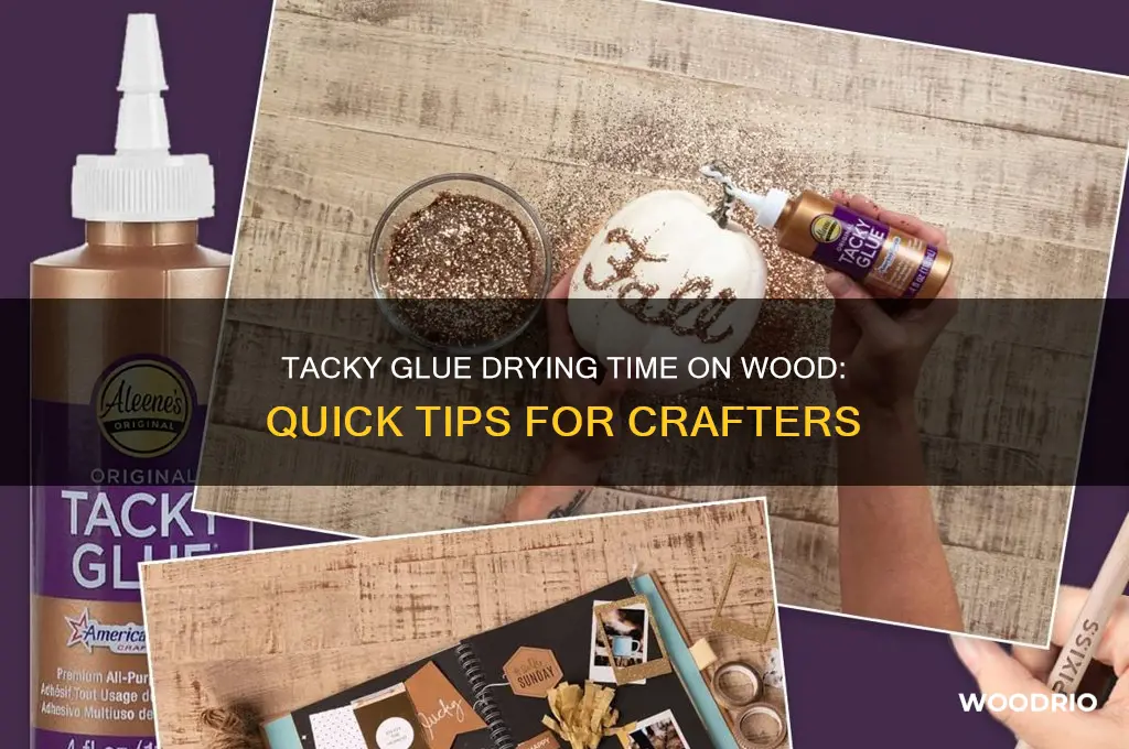how long does tacky glue take to dry on wood