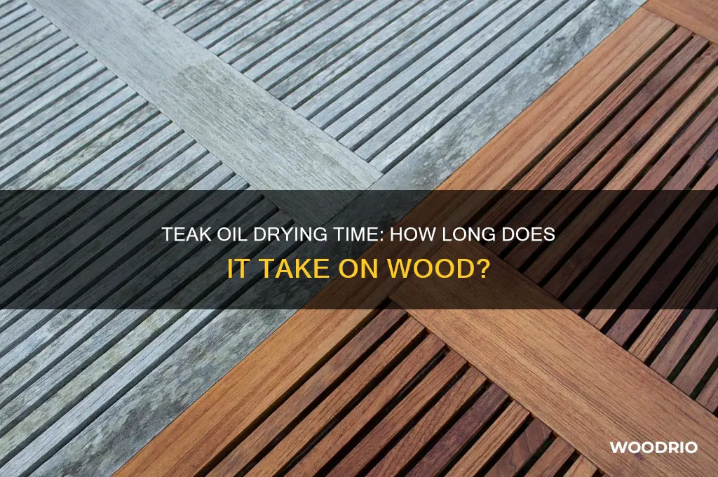 how long does teak oil take to dry on wood