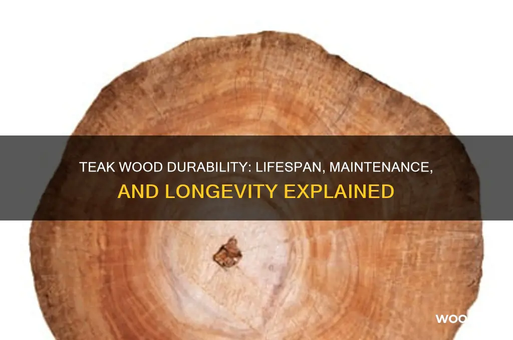 how long does teak wood last