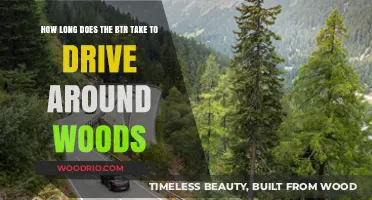 Exploring the Woods: BTR Drive Time Around the Forest