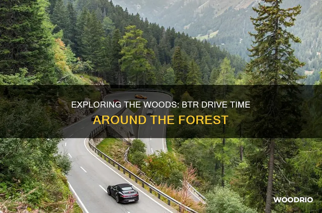 how long does the btr take to drive around woods