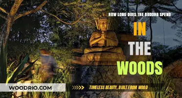 Buddha's Forest Retreat: Unveiling the Duration of His Woodland Journey