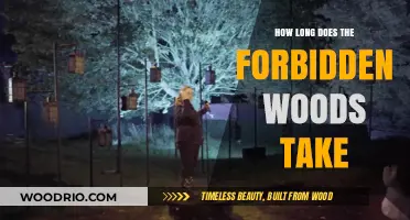 Exploring the Forbidden Woods: Time Estimates for Your Adventure