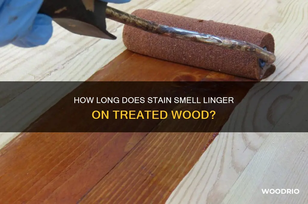 how long does the smell stsys on a tain wood