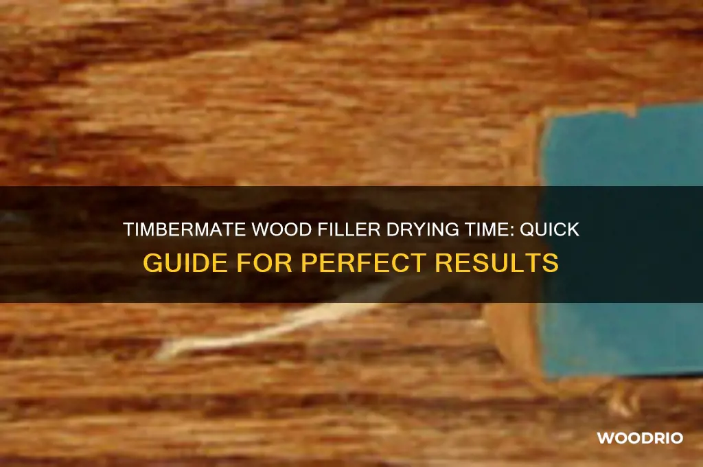 how long does timbermate wood filler take to dry