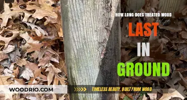 Treated Wood Lifespan: Durability and Longevity in Ground Contact Explained