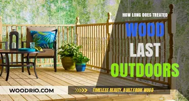 Treated Wood Durability: How Long Does It Last Outdoors?
