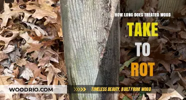 Treated Wood Lifespan: Factors Affecting Rot and Decay Resistance