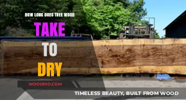 Drying Tree Wood: Essential Timeframes for Optimal Results Explained
