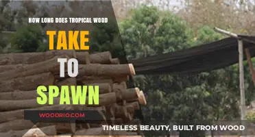 Tropical Wood Spawning Timeline: Understanding Growth and Regeneration Process