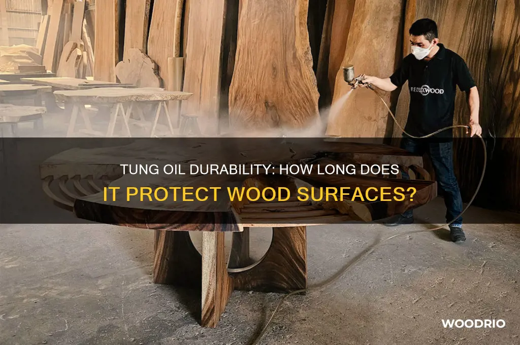how long does tung oil last on wood