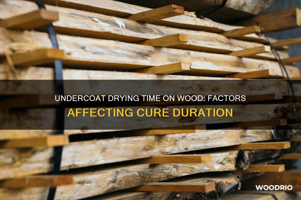 how long does undercoat take to dry on wood