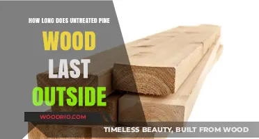 Untreated Pine Wood Durability: Lifespan and Outdoor Survival Guide