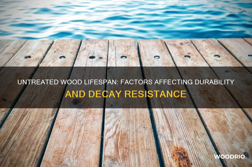 how long does untreated wood last