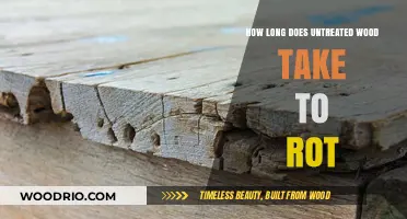 How Long Does Untreated Wood Last Before Rotting?