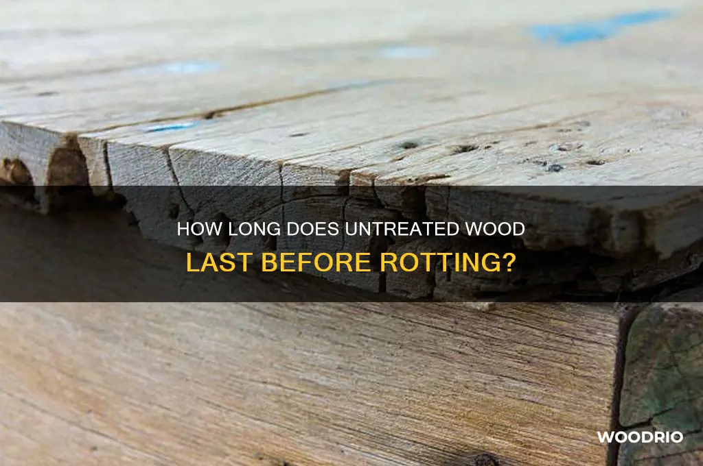 how long does untreated wood take to rot