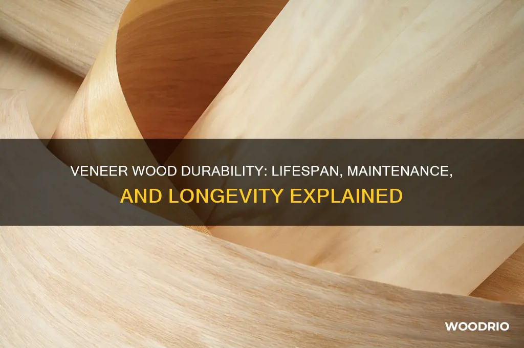 how long does veneer wood last