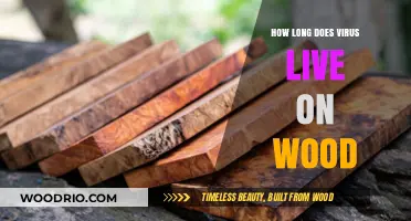 How Long Do Viruses Survive on Wood Surfaces? A Guide