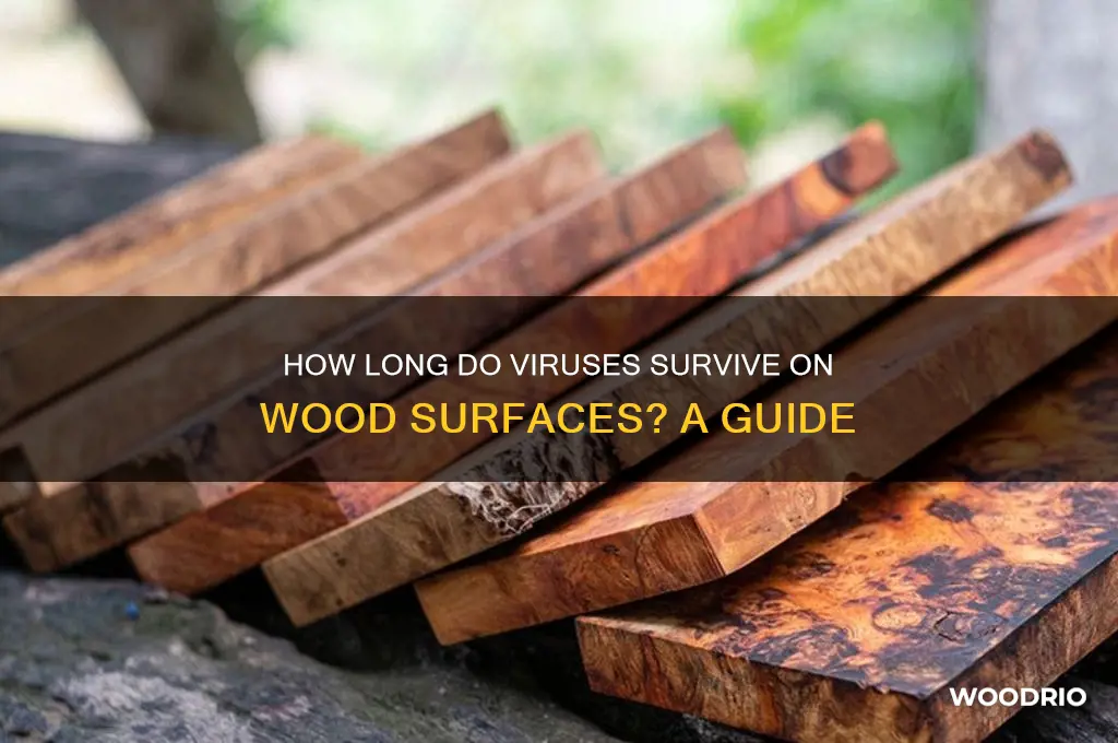 how long does virus live on wood