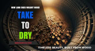Walnut Wood Drying Time: Factors Affecting the Process and Duration